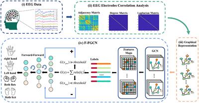 Graph neural network based on brain inspired forward-forward mechanism for motor imagery classification in brain-computer interfaces